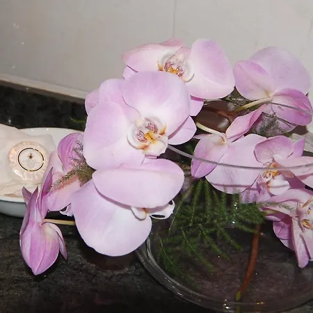 아스토리아 이탈리아