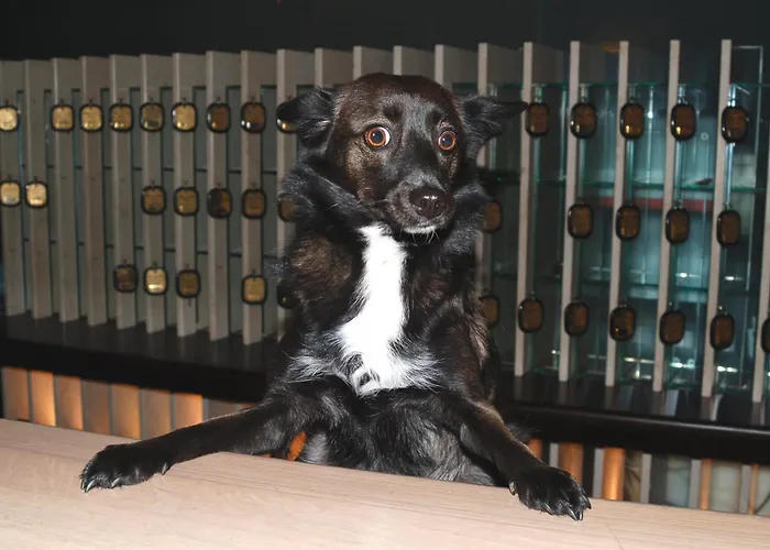 Hotel Astoria Italia 4*